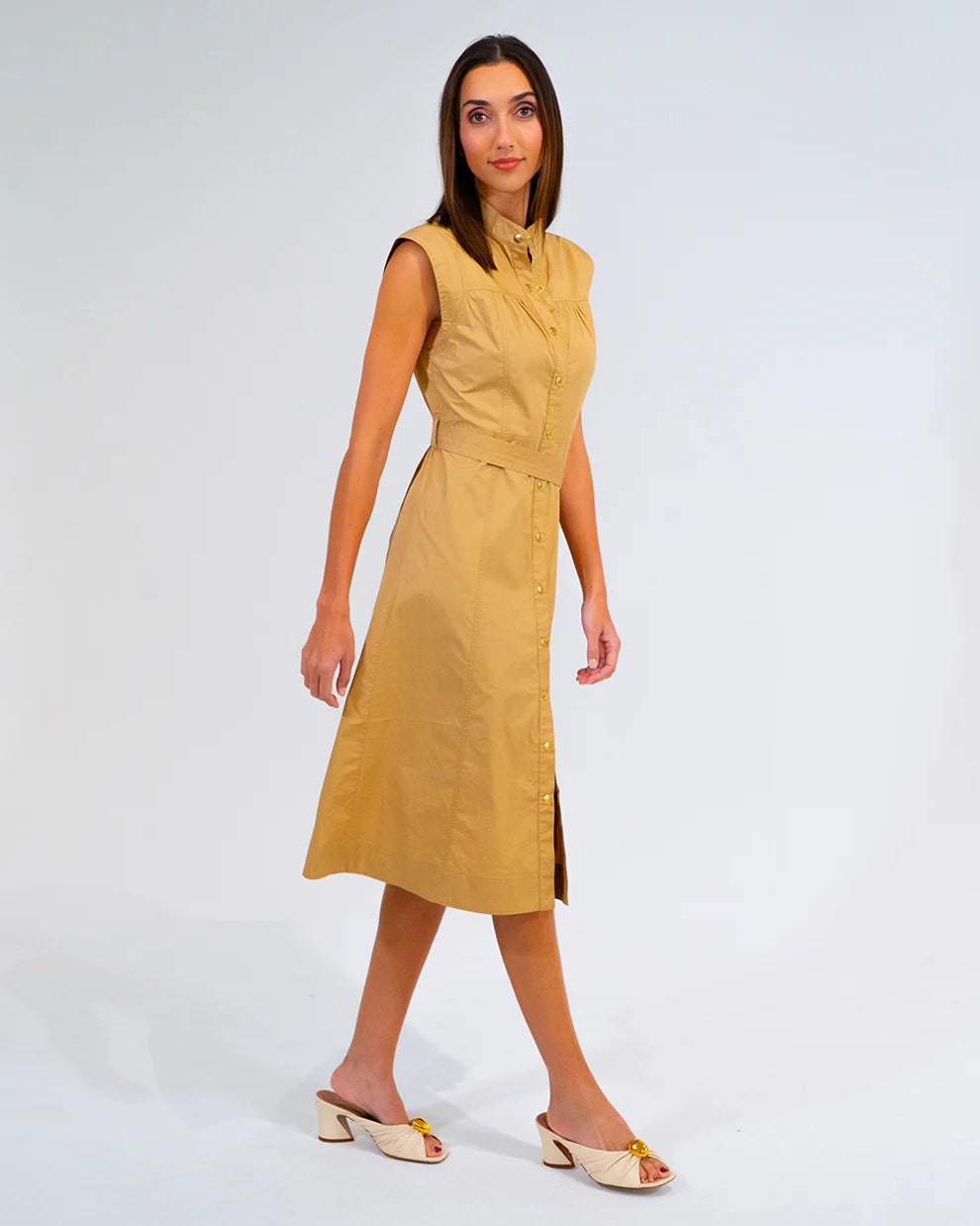 Iris Dress