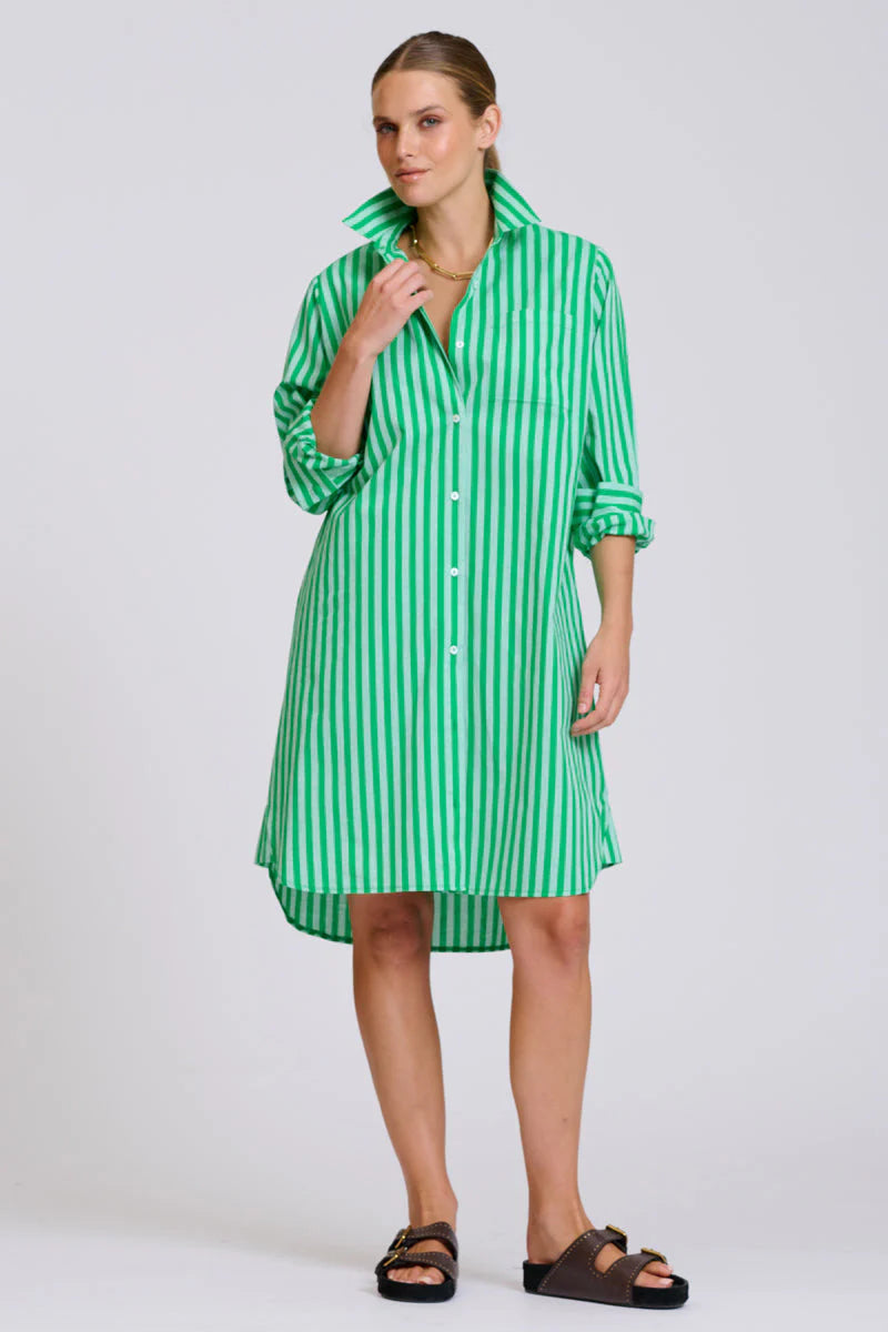 Classic Cotton Shirtdress