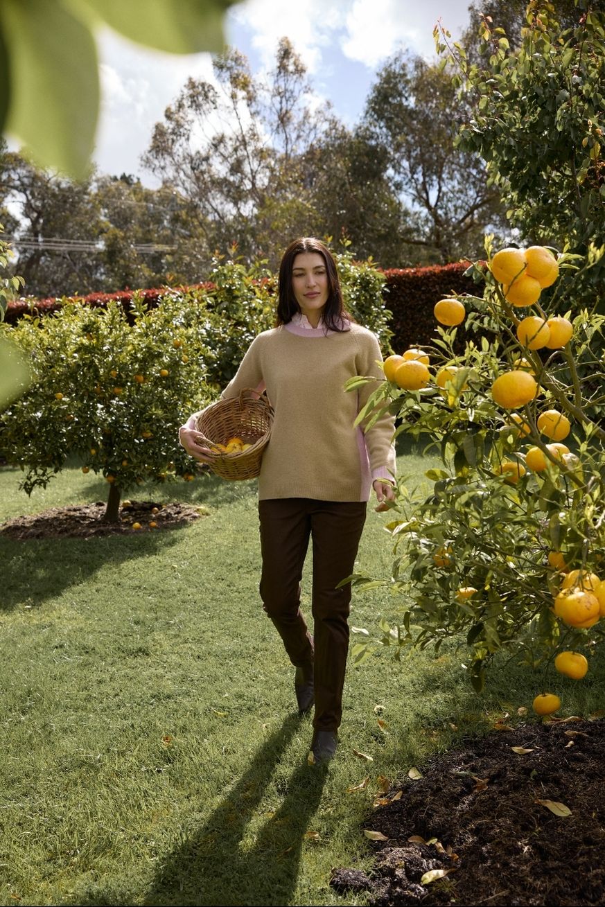 Drover Brushed Merino Knit