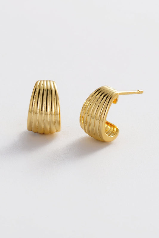 Sasha Earring Hoop