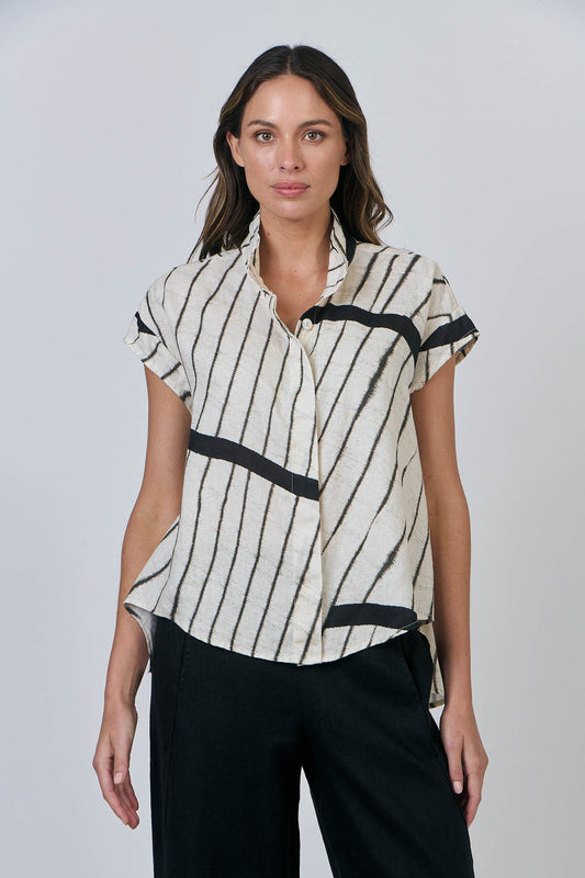 Asymmetric Top
