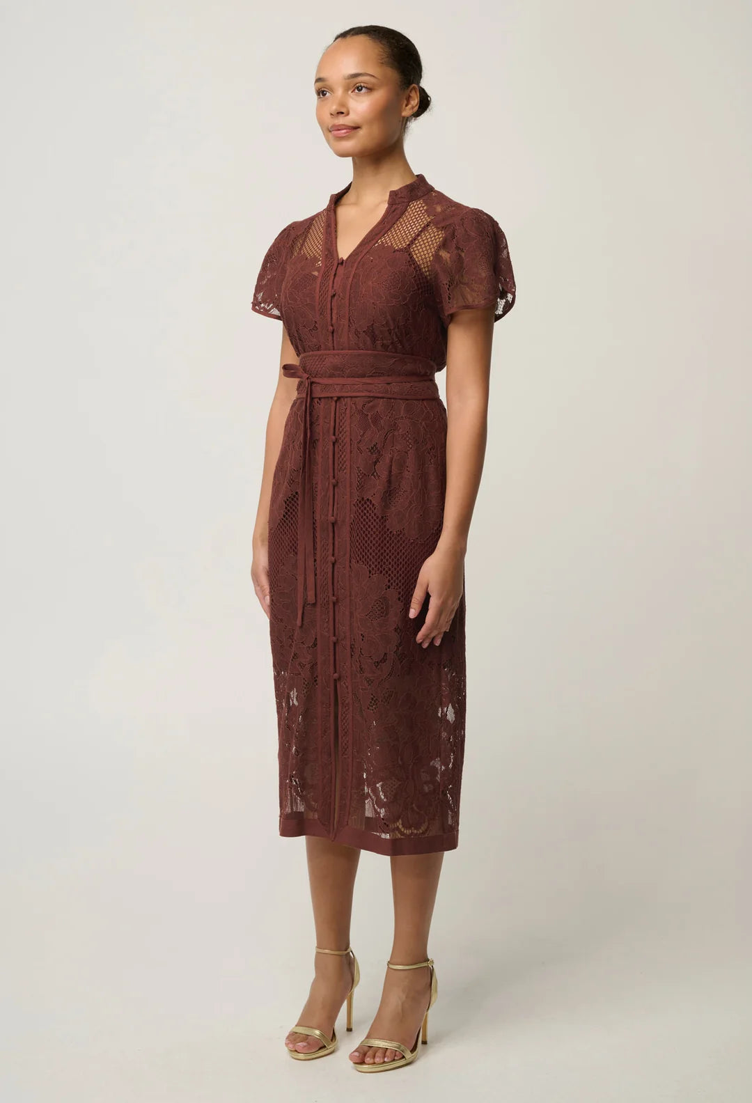 Solene Lace Dress