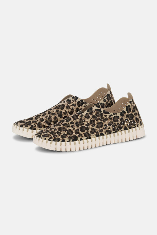 Leopard Tulip Shoe