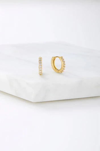 Ally Huggie Earring