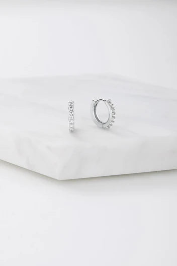 Ally Huggie Earring