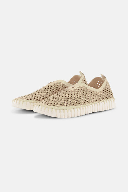Tulip Shoe
