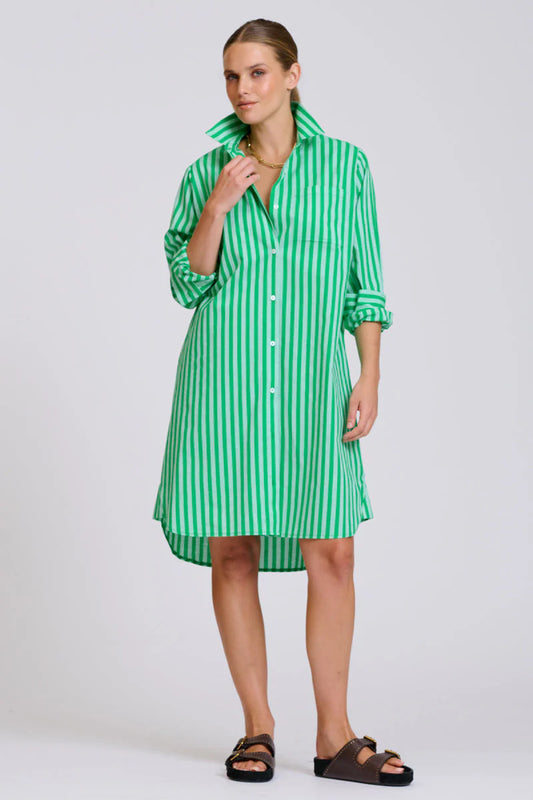 Classic Cotton Shirtdress